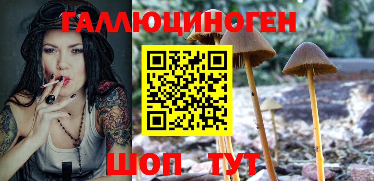 Раменское  Галлюциногенные грибы Magic Shrooms  Вход с VPN 